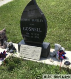 Robert Bentley Dean Gosnell