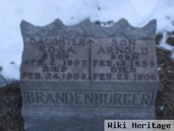 Arnold F Brandenburger