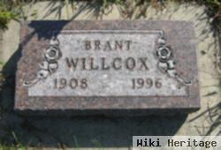 Brant Willcox