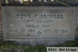 Dowe P. Brinker