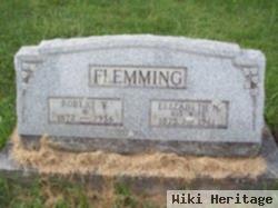 Robert W Flemming