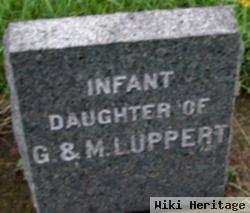 Infant Luppert