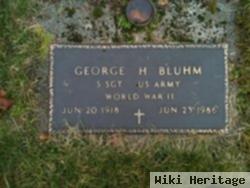 George Hibbard Bluhm