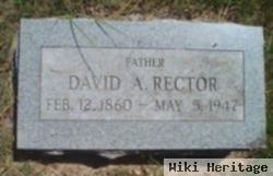 David A Rector