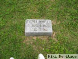 Sylvia Ruth Whited