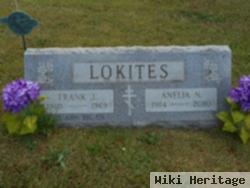 Anelia N. Lokites