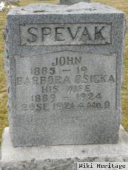 John Spevak