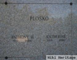 Anthony M Plosko