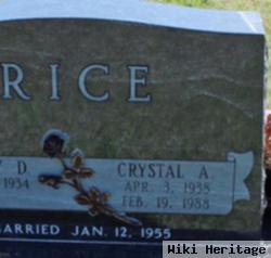 Crystal Arleen Jurey Rice