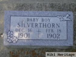 Baby Boy Silverthorn