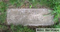 L K Holmes