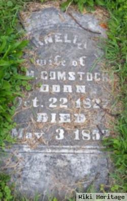 Cornelia Spaulding Comstock