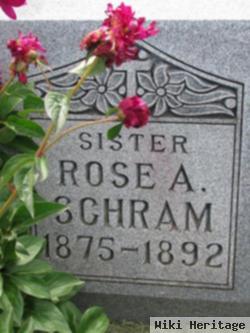 Rose A Murphy Schram