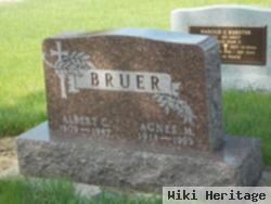 Agnes Margaretha Ries Bruer