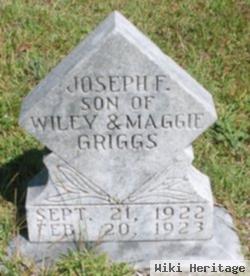 Joseph F. Griggs