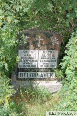 Aloisie "louise" Pesek Belohlavek