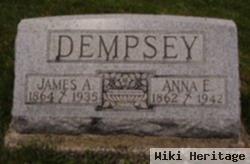 James A. Dempsey