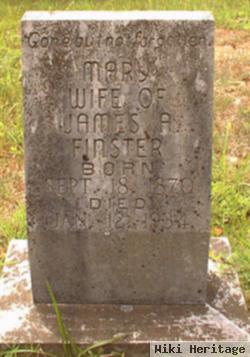 Mary Foster Finster