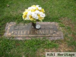 Kay Ann Roe Steffenauer