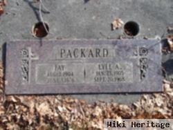 Fay Johnston Packard