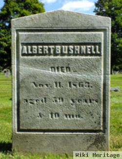 Albert Bushnell