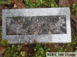 Elva J Osborn