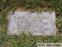 Harry Edwin Hildreth