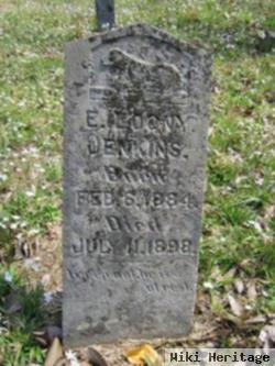 E. Loony Jenkins