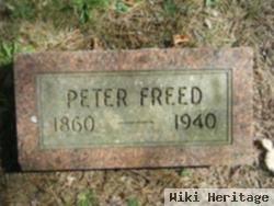 Peter C Freed