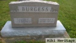 Sanford A. Burgess