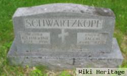 Henry Jacob Schwartzkopf