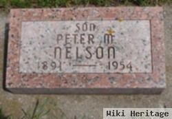 Peter M Nelson