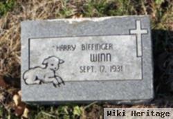 Henry Biffinger Winn