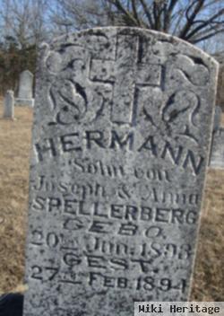 Herman Spellerberg