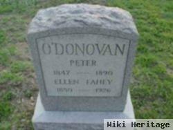 Peter O'donovan