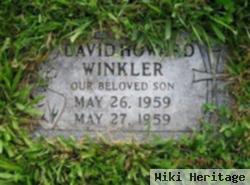 David Howard Winkler