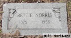 Mary Annie Amanda Elizabeth "bettie" Lowe Norris