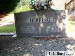 James Ira Herring