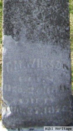 T. M. Wilson