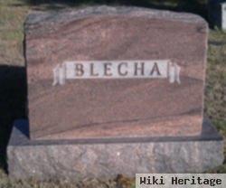 Mary F Slavik Blecha