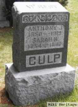 Anthony J Culp