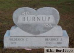 Beatrice J Macavoy Burnup