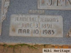 Lucinda Jennette Jenkins Jensen