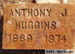 Anthony J Huggins