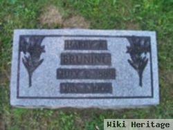 Harry A. Bruning