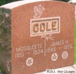 Mosolete Spradlin Cole