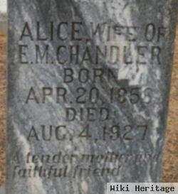 Alice Shaw Chandler