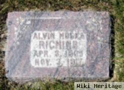 Alvin Hosea Richins