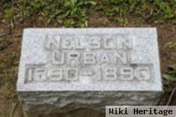 Nelson Urban