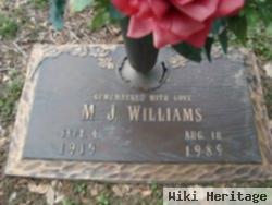 M. J. Williams